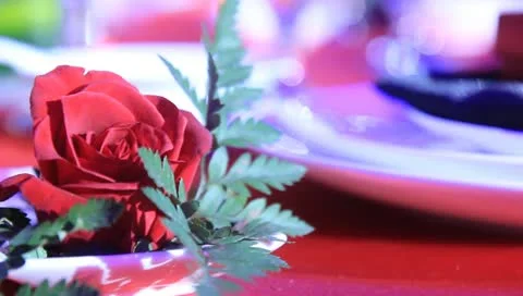 MVI 3058 스톡 동영상 10793734