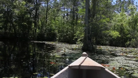 MVI 3065 Stock Footage 272556712