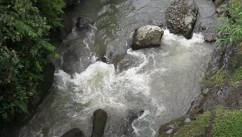 MVI 3087 Stock Footage 10833474