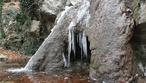 Mvi 3251 Stock Footage 10575669