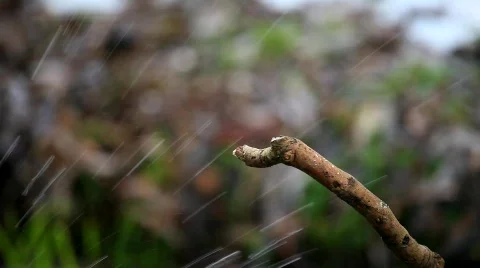 MVI 3442 Stock Footage 608257