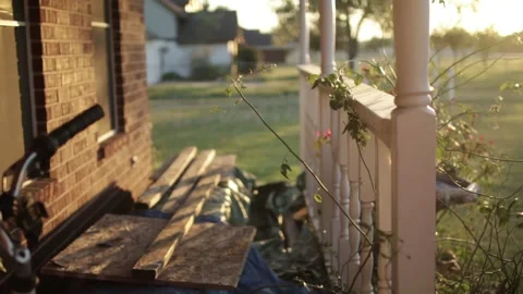 MVI 3514 動画素材 136336372