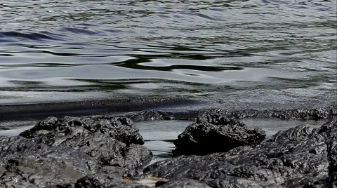 MVI 3778 库存影片 56022317