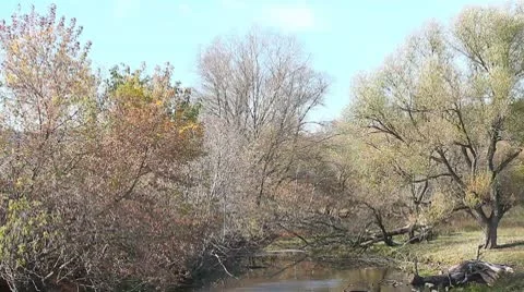 MVI 3808 Stock Footage 8947325