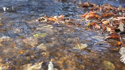 MVI 3809 Stock Footage 8921398