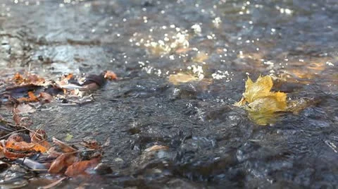 MVI 3814 Stock Footage 8947156