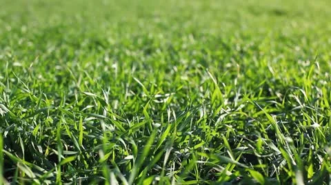 MVI 3820 Stock Footage 8921390