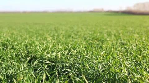 MVI 3825 Video stock 8947158