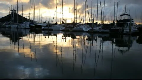 MVI 3910 Video stock 10909745