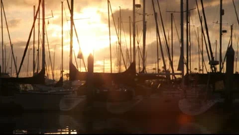 MVI 3916 Video stock 10910027