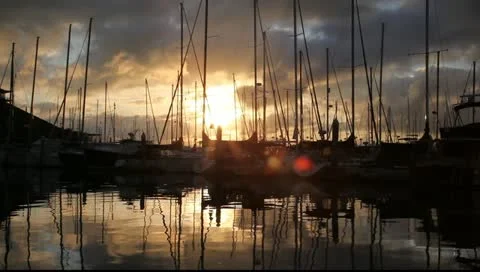 MVI 3917 Video stock 10909989