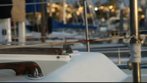 MVI 3921 Video stock 10910011