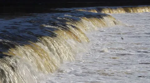 MVI 4 Stock Footage 33831523