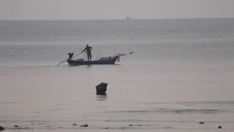 MVI 4216 Video stock 3981093