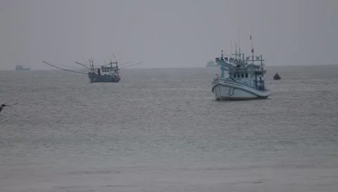 MVI 4217 Video stock 3981109