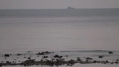 MVI 4218 Video stock 3981128