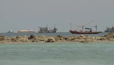 MVI 4224 Video stock 3981136