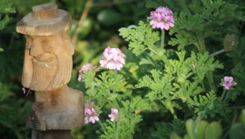 MVI 4228 Stock Footage 10905860