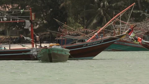 MVI 4231 Video stock 3981151