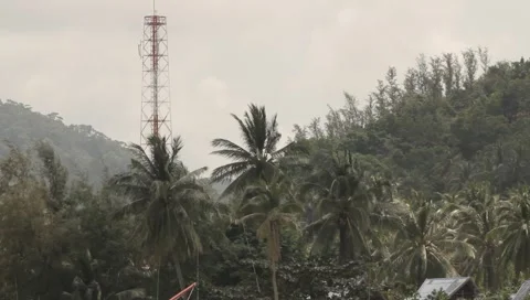 MVI 4232 Video stock 5028879