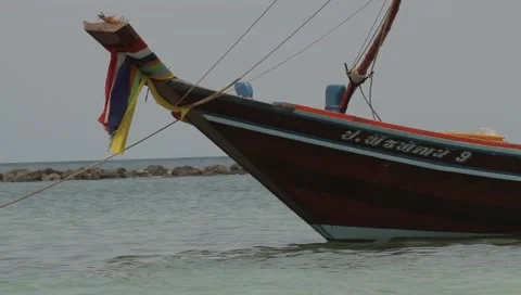 MVI 4249 Video stock 3981154