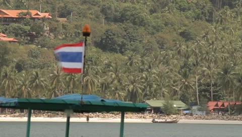 MVI 4256 Video stock 5029432