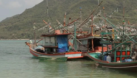 MVI 4261 Video stock 3981176