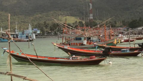 MVI 4263 Video stock 3981184