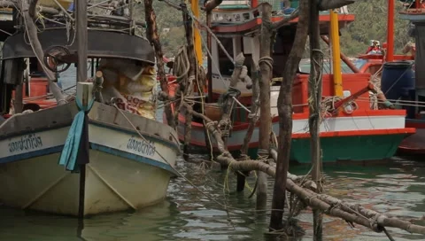 MVI 4264 Video stock 3980950