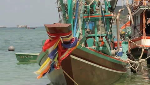 MVI 4265 Video stock 3980960