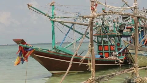 MVI 4266 Video stock 3980966