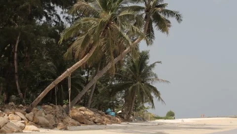 MVI 4267 Video stock 5030995