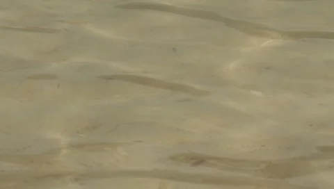 MVI 4268 Video stock 3963396