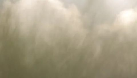 MVI 4278 Video stock 3953330