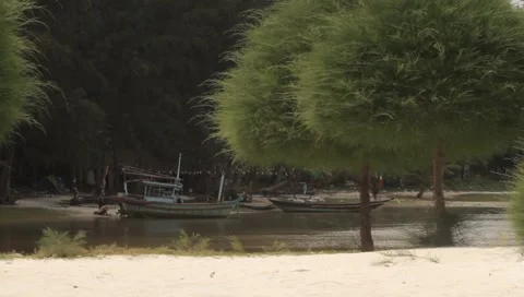 MVI 4279 Video stock 5031604