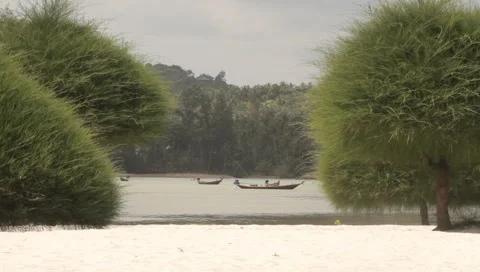 MVI 4280 Video stock 5031805