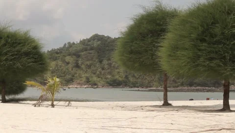 MVI 4282 Video stock 5031965