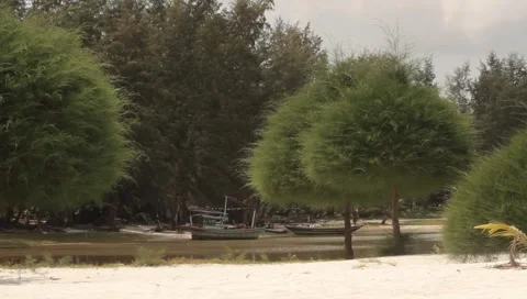 MVI 4283 Video stock 5032284