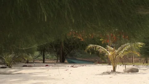 MVI 4284 Video stock 5032480