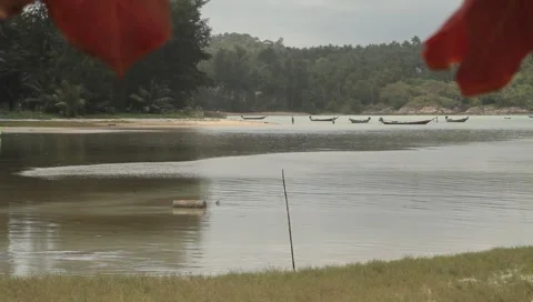 MVI 4289 Video stock 5032631