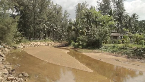 MVI 4300 Video stock 5033623