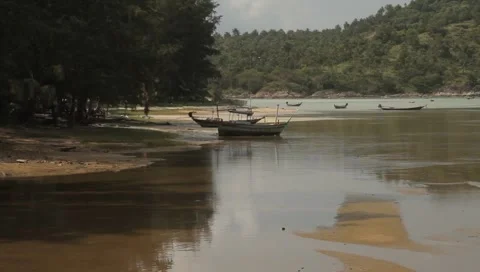 MVI 4303 Video stock 5033725