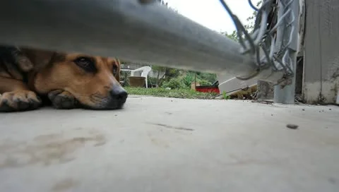 MVI 4348 Stock Footage 10906572