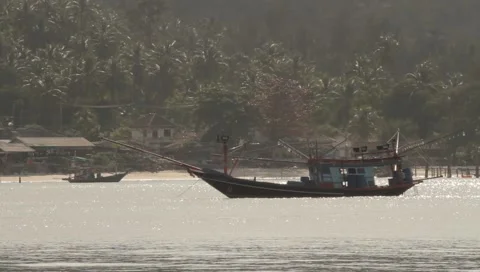 MVI 4349 Video stock 3980968