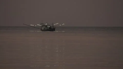 MVI 4358 Video stock 3980979