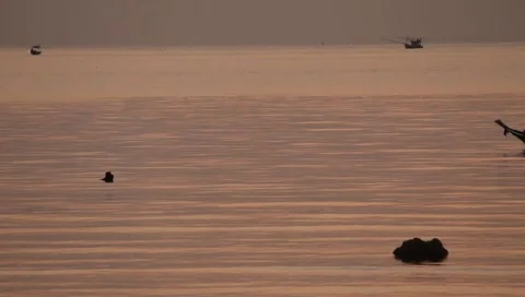 MVI 4359 Video stock 3980995