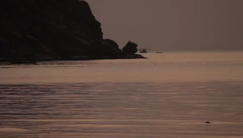 MVI 4361 Video stock 3981025