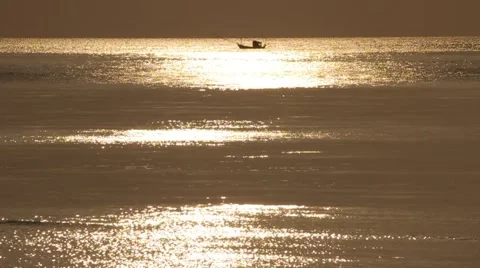 MVI 4463 Video stock 3981028