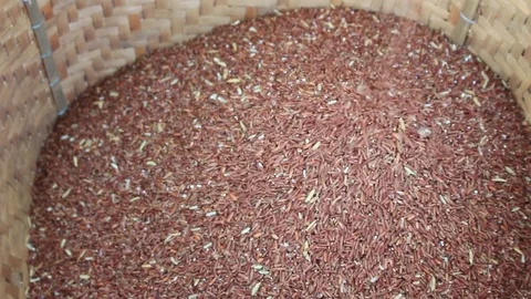 MVI 4541.1 Stock Footage 82711200