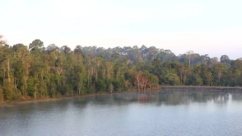 MVI 4586.1 Stock Footage 82711528